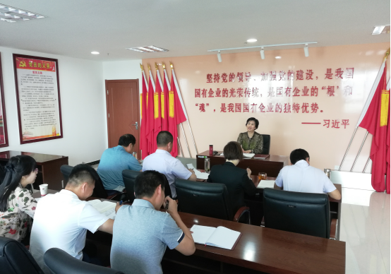 集團紀(jì)委書記謝燕同志在集團機關(guān)黨支部作黨課